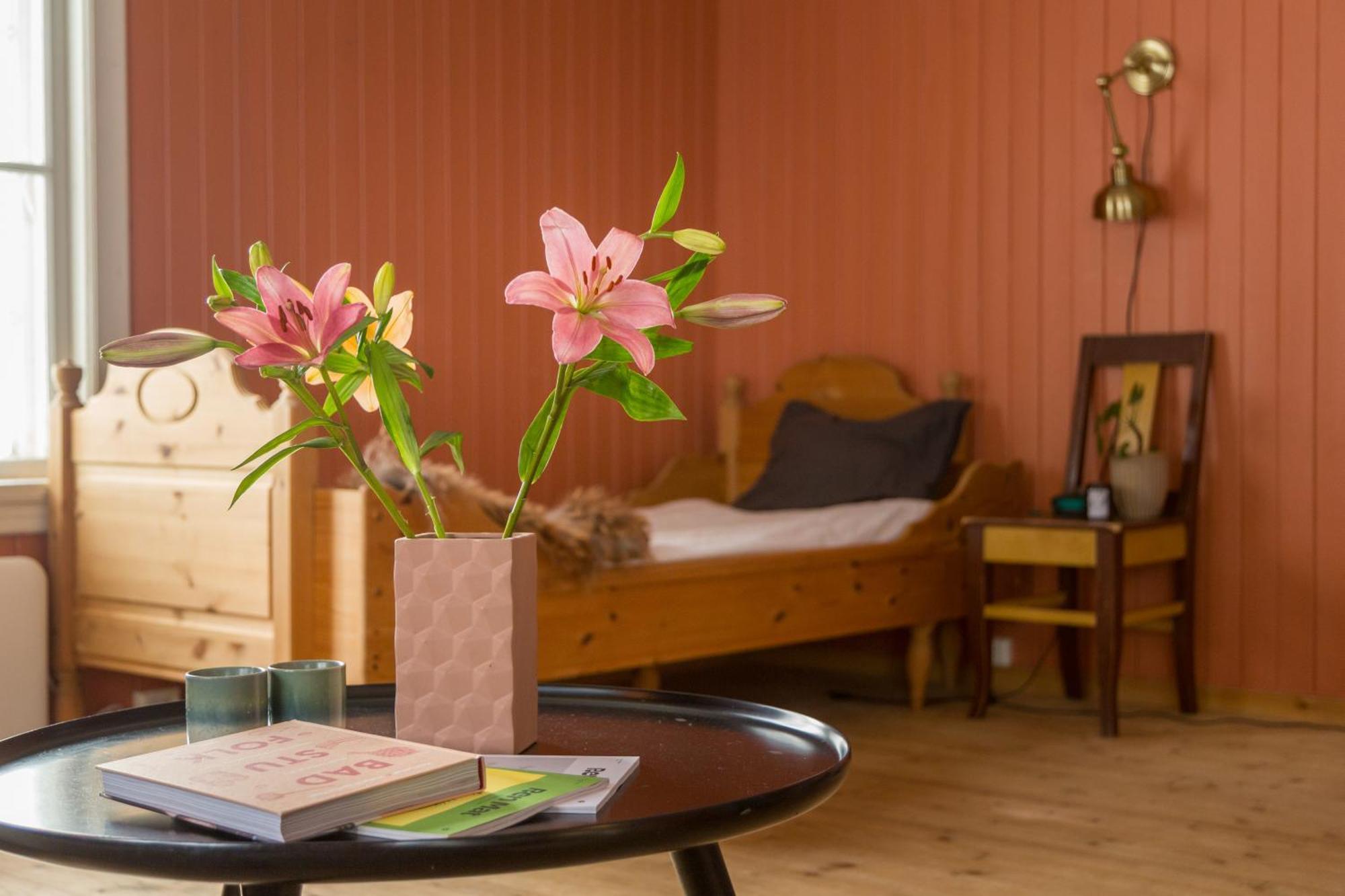 Appartement Experience Jotunheimen From Vevstogo - Sauna With A View And Eco Living In An Old School Building
